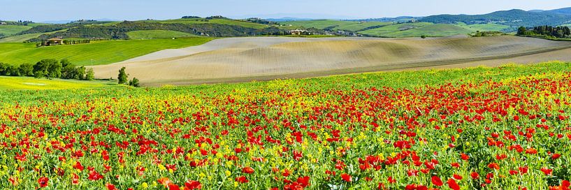 Val d`Orica en Toscane par Walter G. Allgöwer