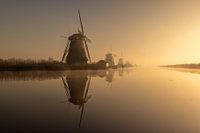 Foggy Kinderdijk