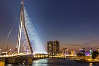 Rotterdam