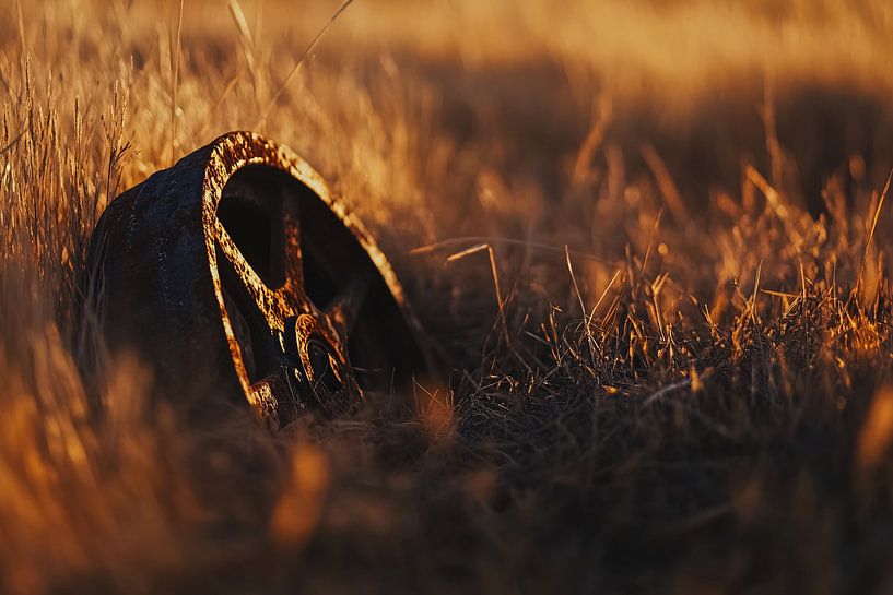 Rostiges Rad im goldenen Feld von Art & Soul Creations