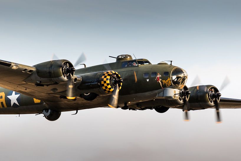 Sally B von Nildo Scoop