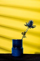 Blauwe distel in  vaasje