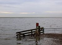 Nistplatz für Vögel in Schellinkhout