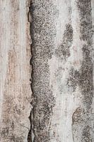 Natürliches Relief Abstraktes Kunstwerk