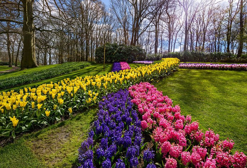 Keukenhof Park an einem schönen Frühlingstag von Chi