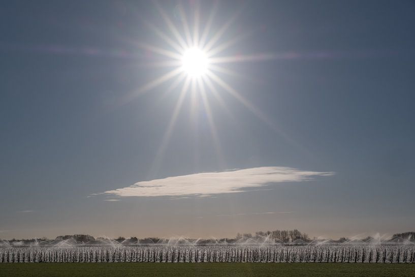 Irrigating fruit orchard by Moetwil en van Dijk - Fotografie