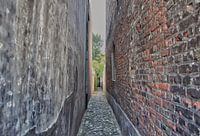 Narrow street in Middelburg