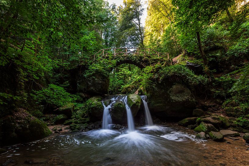 Le Schiessentümpel à Mullerthal au Luxembourg par MS Fotografie | Marc van der Stelt