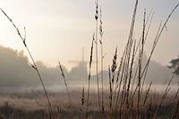 Blick auf die Mühle