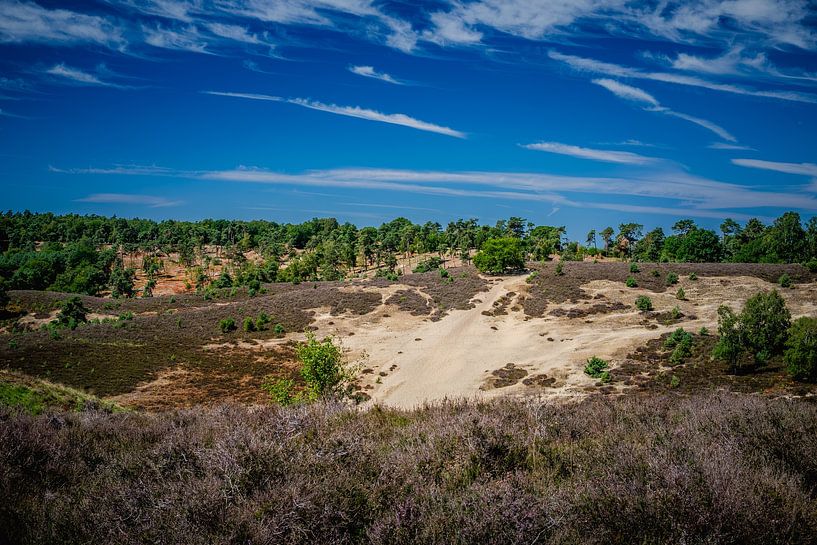 Veluwe - Un paysage néerlandais unique avec des plaines sablonneuses par RAW & Refined