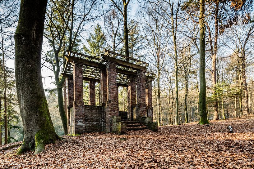 Pergola op de Hemelse Berg par Daan van Oort