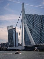 Pont Erasmus Rotterdam Pays-Bas Europe