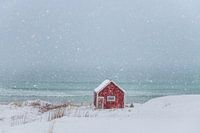 Solitude dans la neige