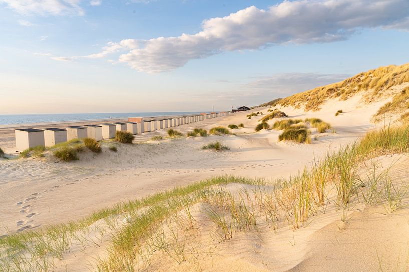 Ferienhäuser am Strand von Louise Poortvliet