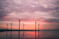 Moderne Windmühlen bei Sonnenuntergang - Warm