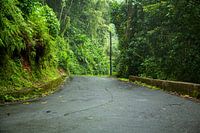 Straße durch den tropischen Regenwald kurz nach den Regenfällen