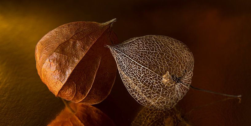 Gemeinsam: zwei Generationen von Laternen in warmen Farbtönen. von Marjolijn van den Berg