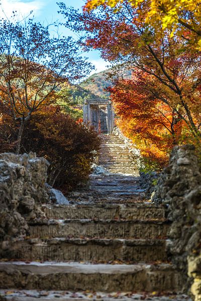 La porte du paradis par Peter Dane
