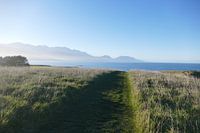 Peninsula Walkway Kaikoura
