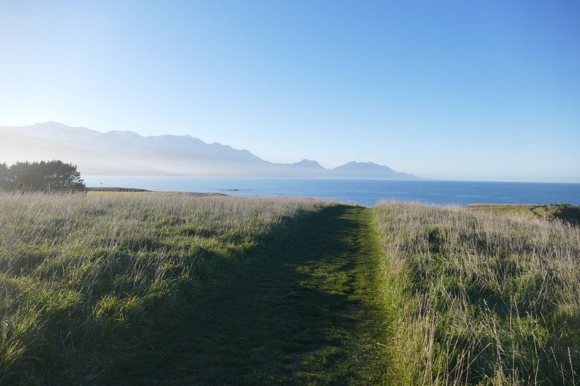 Peninsula Walkway Kaikoura von Mark Sebregts