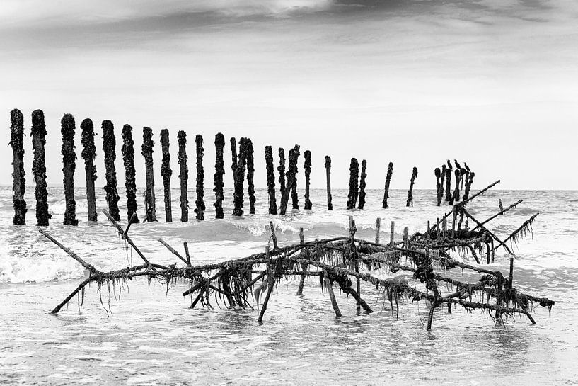 Mussel bank with cormorants at &quot;Omaha Beach&quot; by Evert Jan Luchies