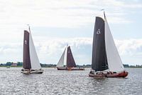 Skûtsje sailing Friesland