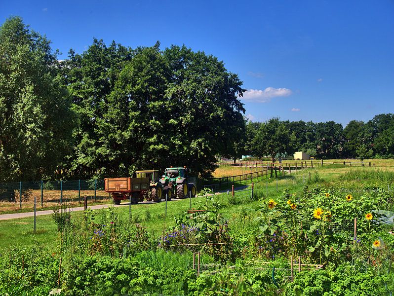 Treckerschleppen von Edgar Schermaul