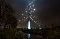 World's biggest Christmas tree shines over Utrecht again