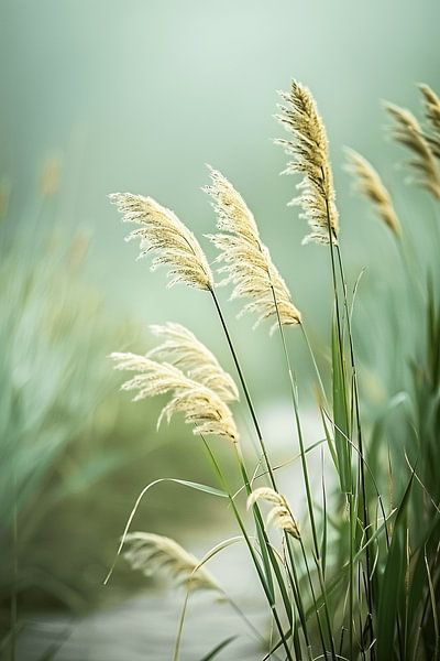 On a Walking Inspiration in Central Delfland by Karina Brouwer