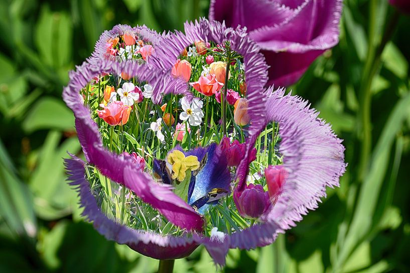 Florale Fantasie in Lila und Feldfarben von FotoGraaGHanneke
