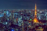 Tokyo in de Night I