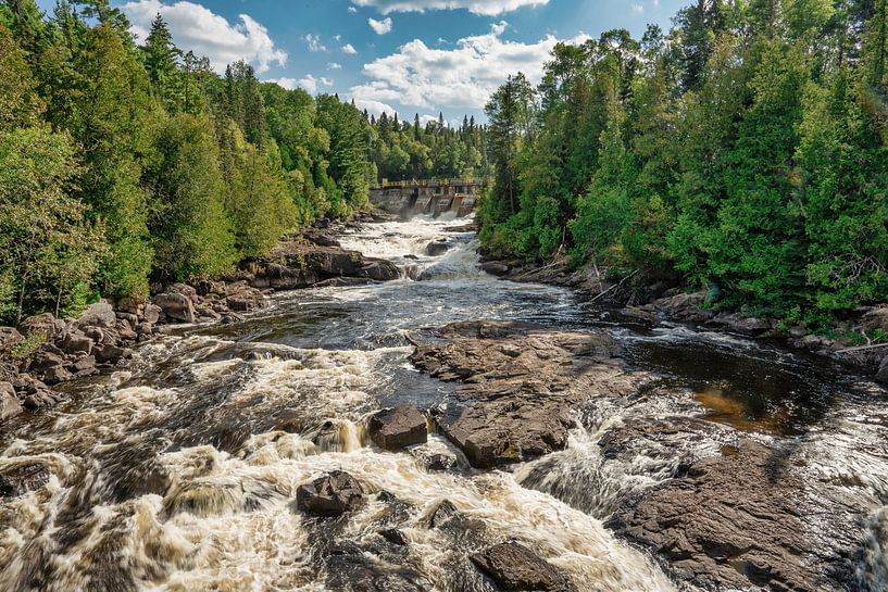 Felsen, Wasser und Bäume von Vivo Fotografie