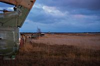 Ziel "Verlorene Möwen" (Lost Seagulls)