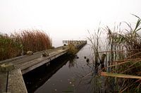 Scaffolding in the Amstelveen pond