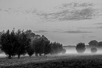 Foggy morning Opwierde Appingedam 6