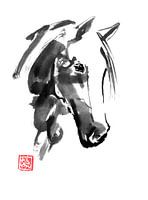 horse head 02