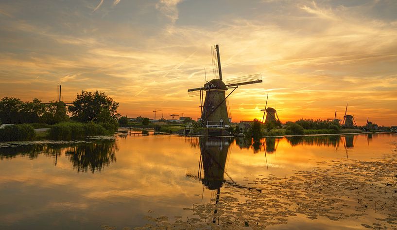 So Dutch Kinderijk Holland by Saskia Dingemans Awarded Photographer