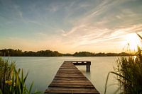 Stijger bij Paterswoldsemeer