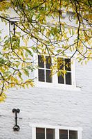 Vieilles fenêtres encadrées de branches d'automne sur un mur de briques blanches.