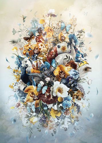 Flourish sur Jesper Krijgsman