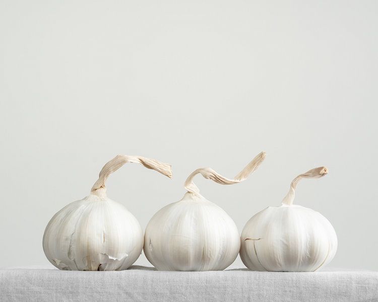 Set of garlic by Mariska Vereijken