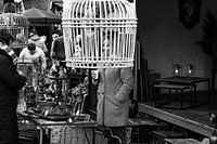 Weihnachtsmarkt Eersel