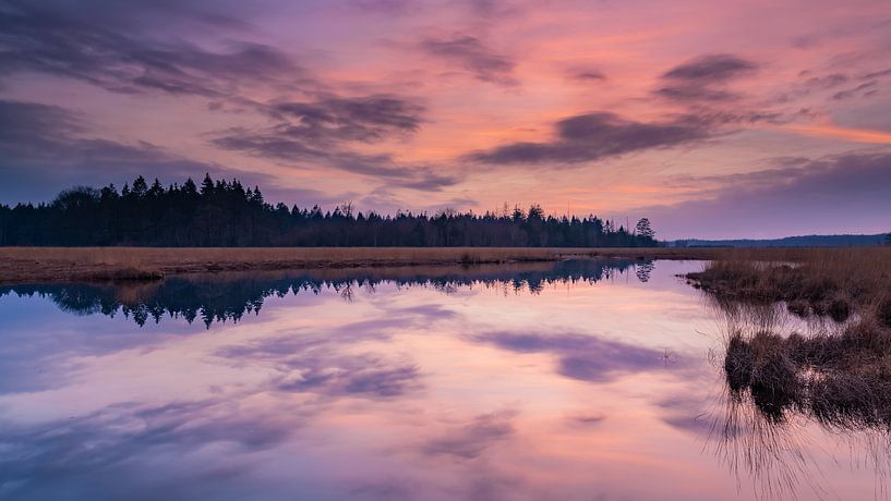Sonnenuntergang an einem Teich in Drenthe. von Yvon van der Laan