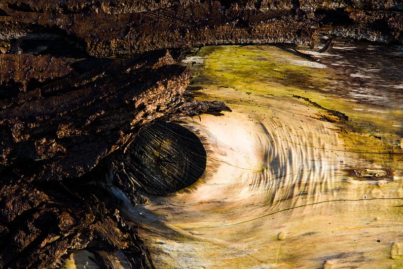 Die Vorstellung 'Das Auge' von Erna Kampman