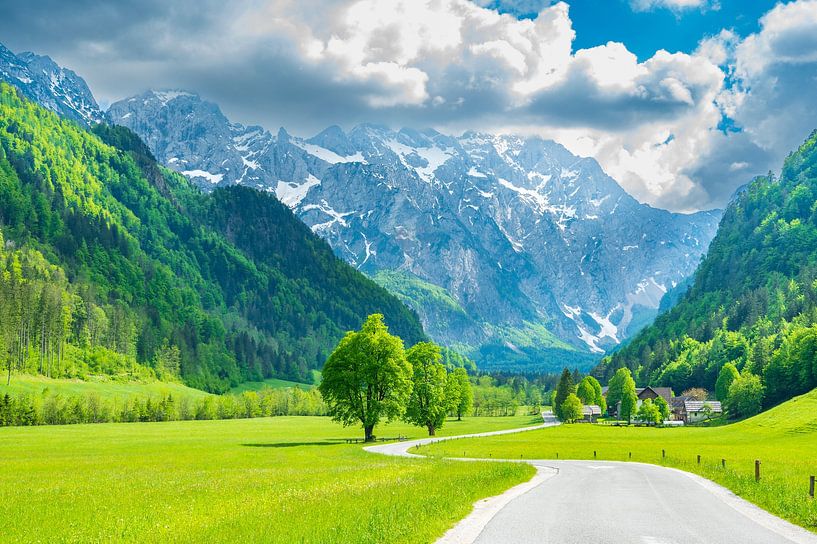 Alps mountains landscape in the Logar Valley during springtime by Sjoerd van der Wal Photography