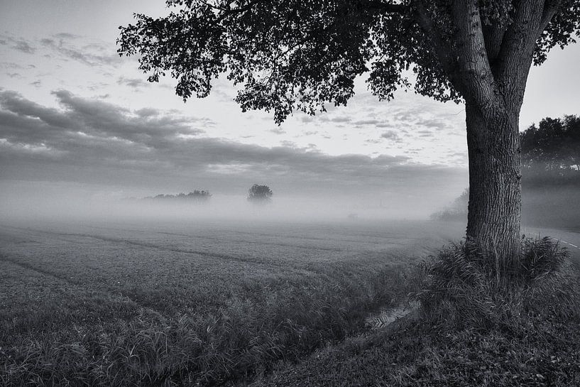 Polder in black and white near Hensbroek by peterheinspictures