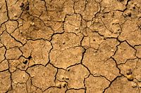 Die Dürre...