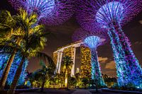 Singapour de nuit - Les jardins de la baie