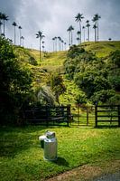 Boite à lait et palme à cire