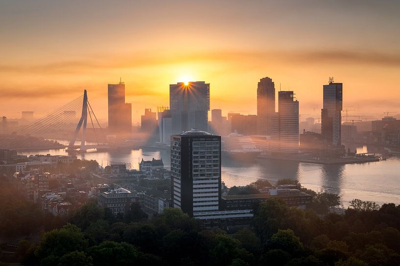 Good morning Rotterdam by Quirien Marijs